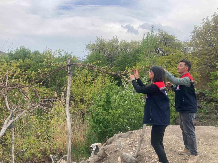 Kars’ta hasat öncesi pestisit kullanımı eğitimi