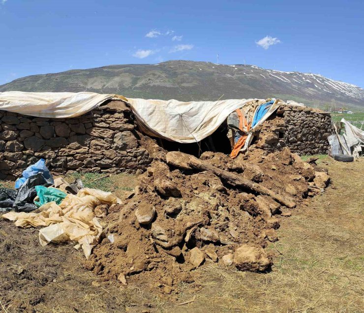 Bingöl’de fırtına ve sağanak nedeniyle ahır çöktü
