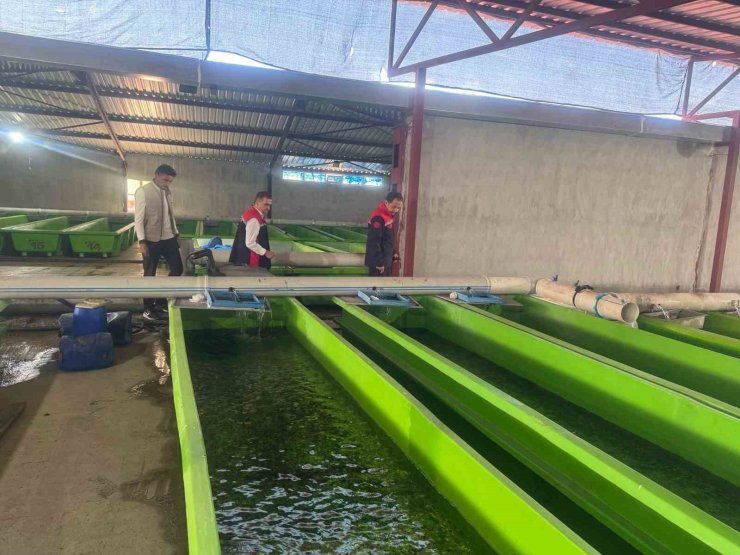 Uluköy’de yılda 15 milyon yavru üretiliyor