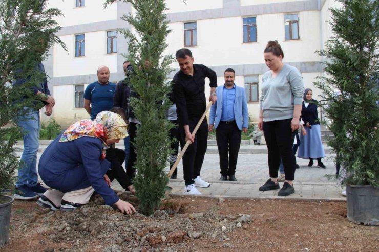 Hakkari’de fidan dikimi