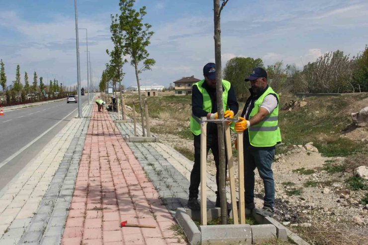Van Büyükşehir Belediyesinden sahil yolunda çalışma
