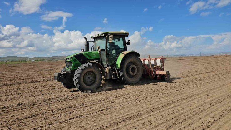Adilcevaz’da şeker pancarı ekimine başlandı