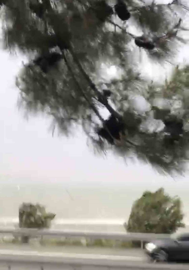 Elazığ’da fırtına etkili oldu