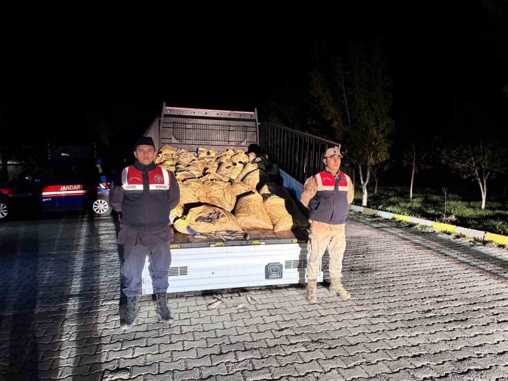 Van’da 3 ton 820 kilo kaçak avlanmış balık ele geçirildi