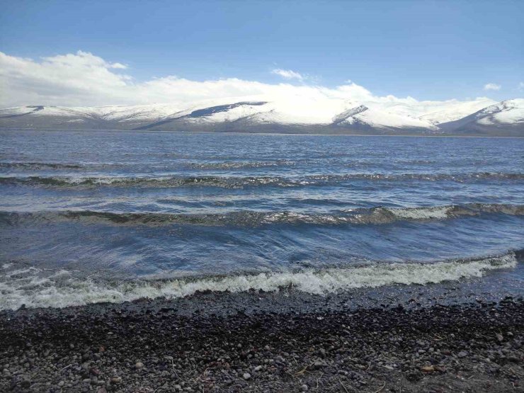 Çıldır Gölü’ndeki buz tabakası tamamen çözüldü