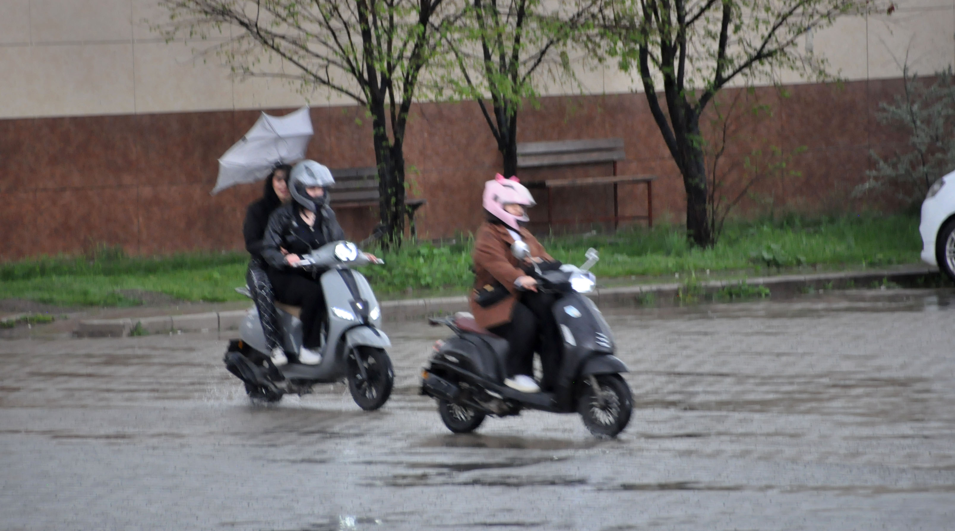 dsc-0550.jpg