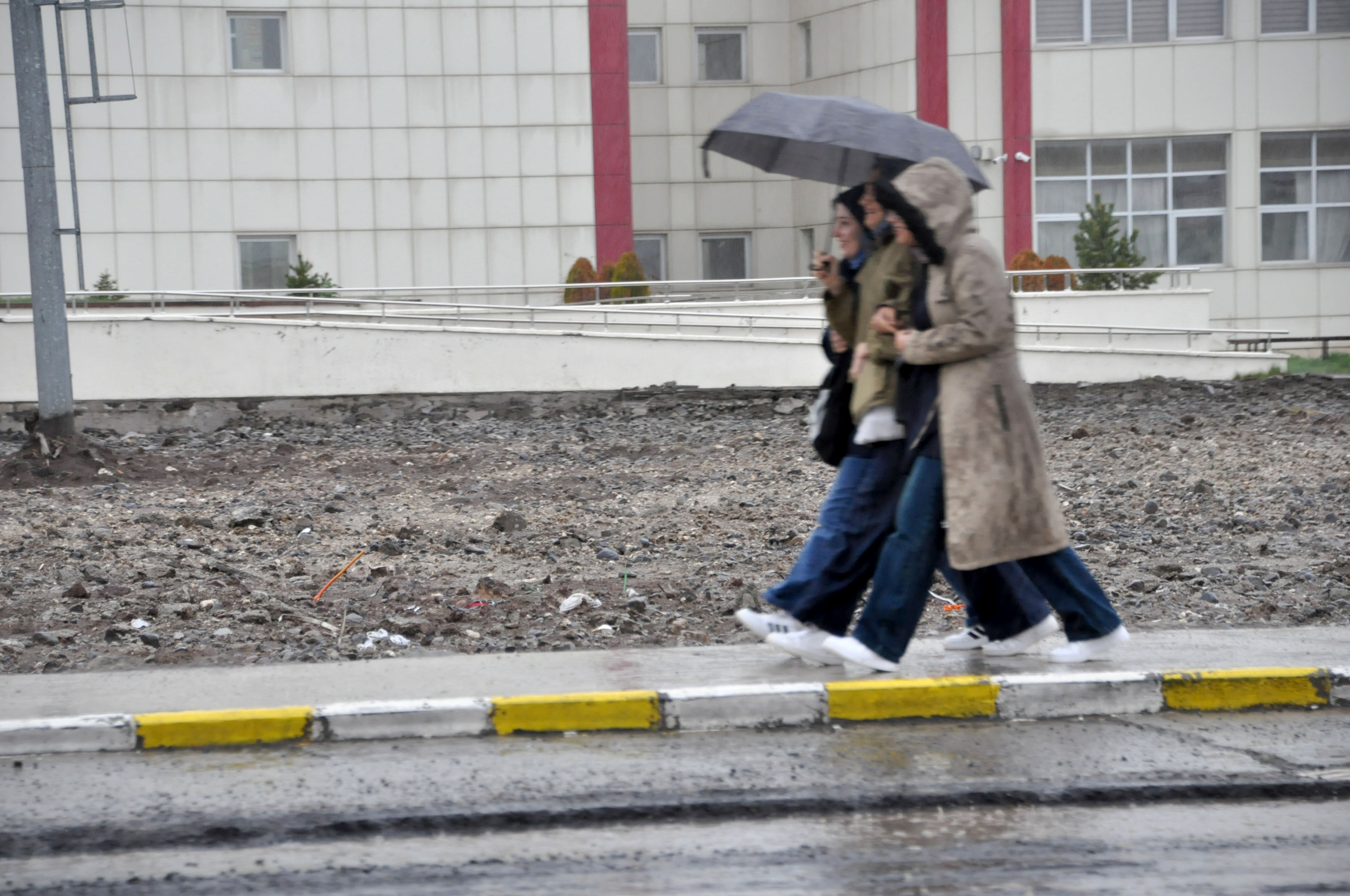 dsc-0565.jpg