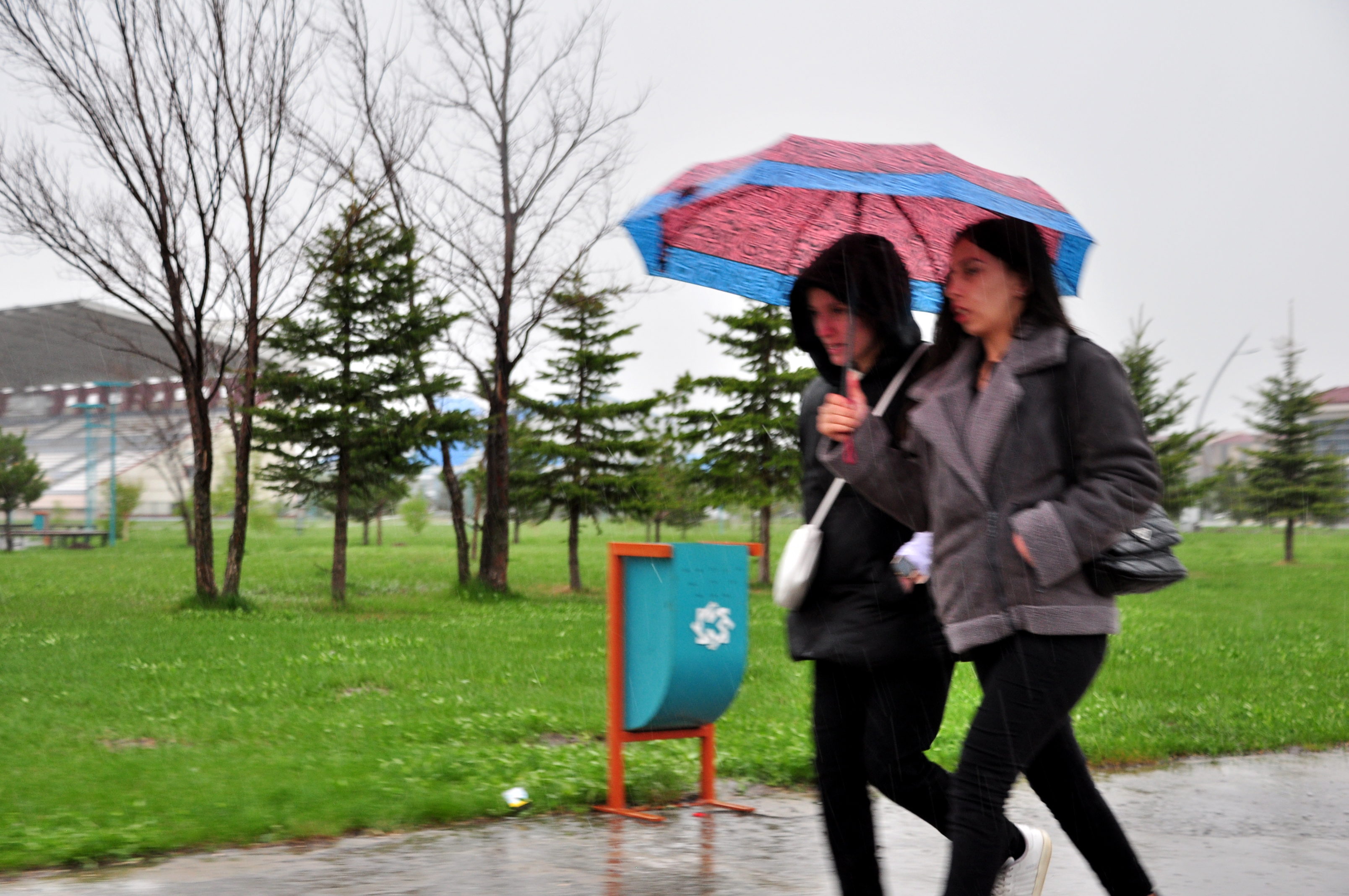 dsc-0573.jpg