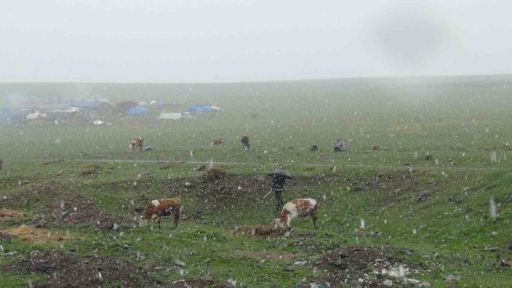 Kars’ta Mayıs karı şaşırttı