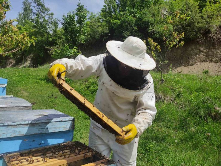 Ardahan’da arıcılar yeni sezona hazırlanıyor