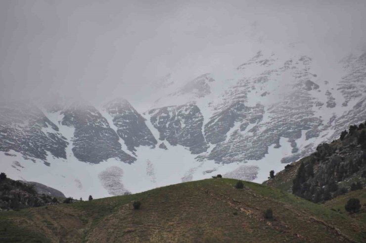 Tunceli’de yüksek kesimlere kar yağdı