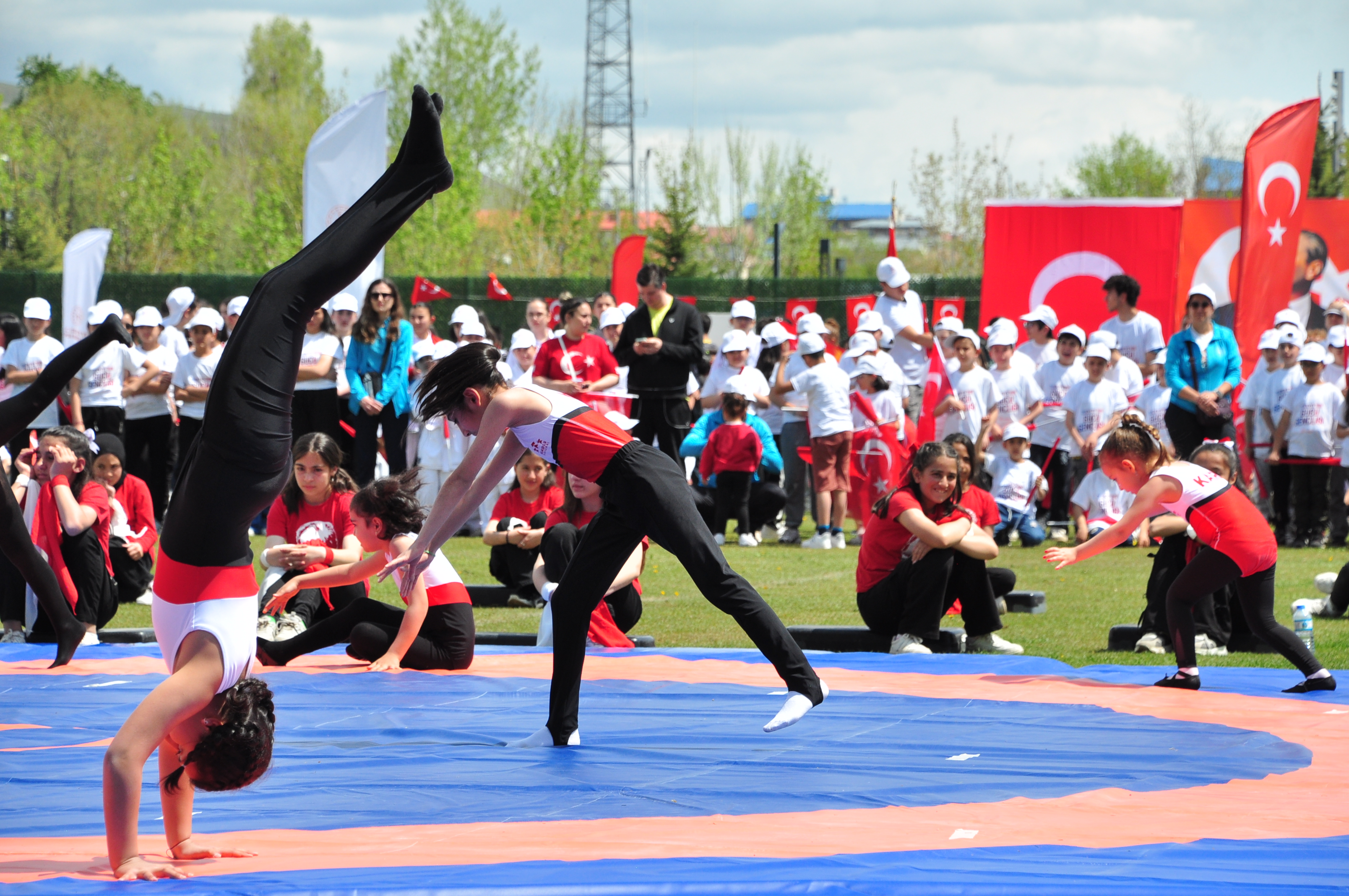 dsc-0082.jpg