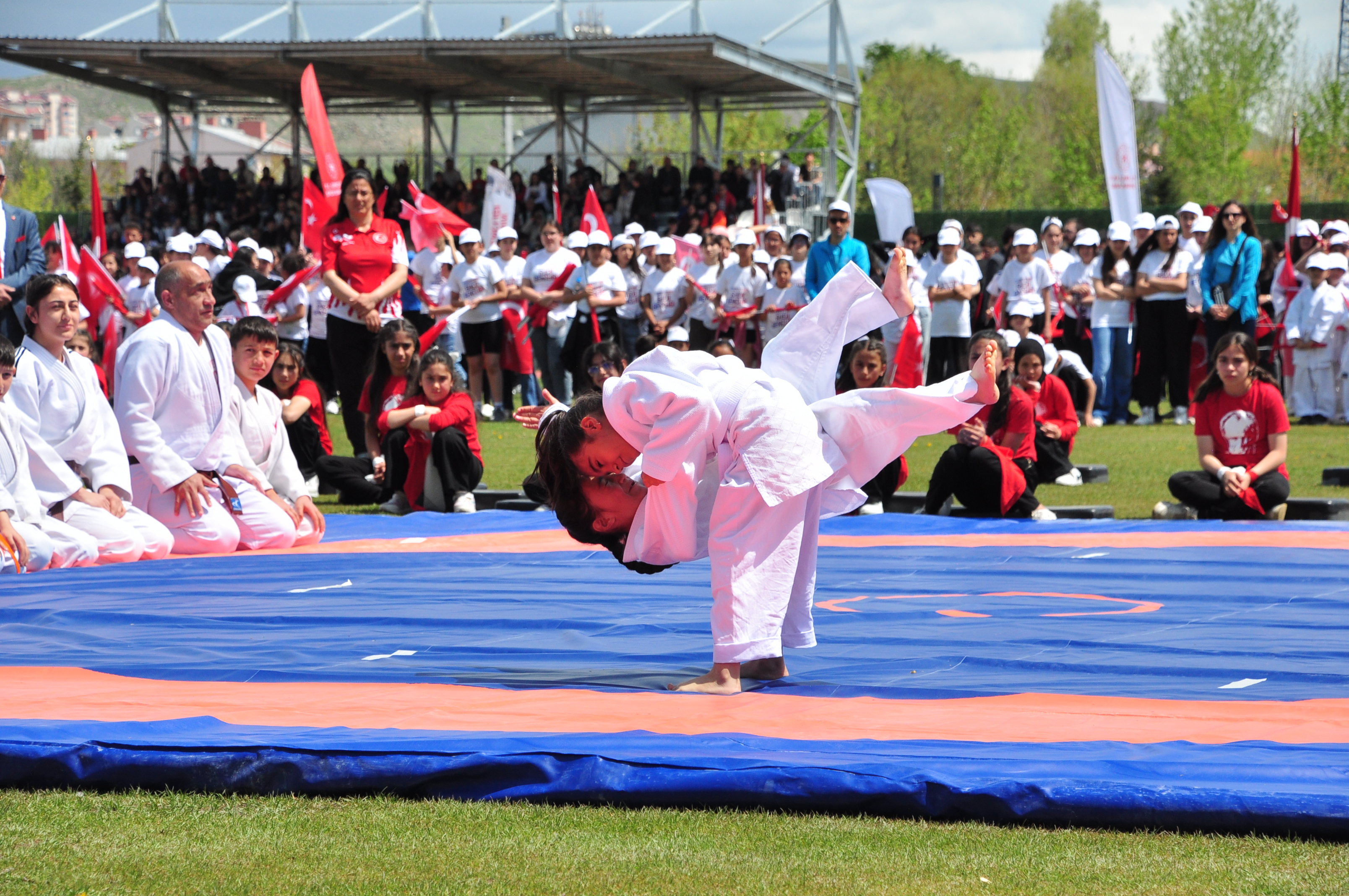 dsc-0965.jpg