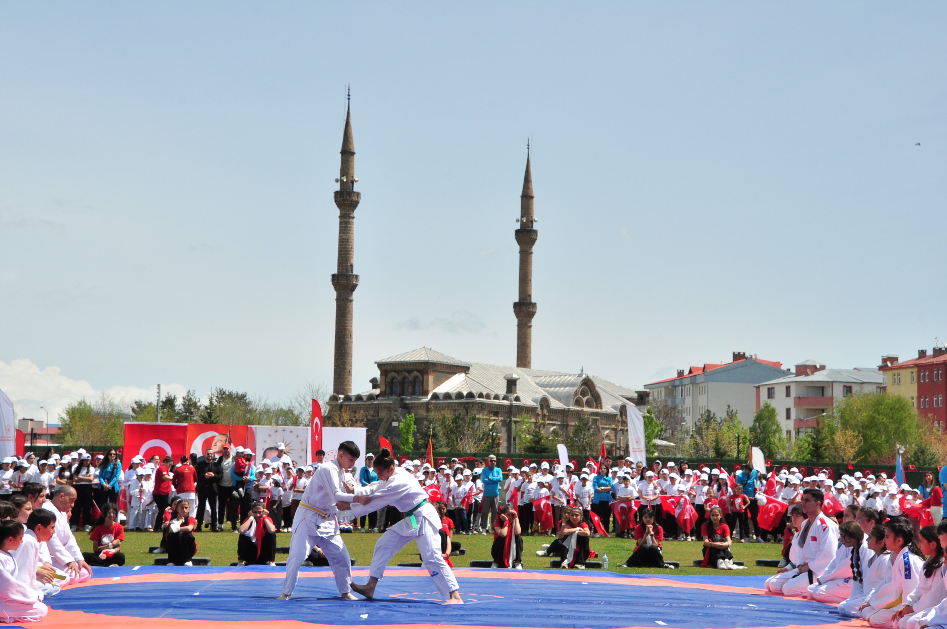 dsc-1001.jpg