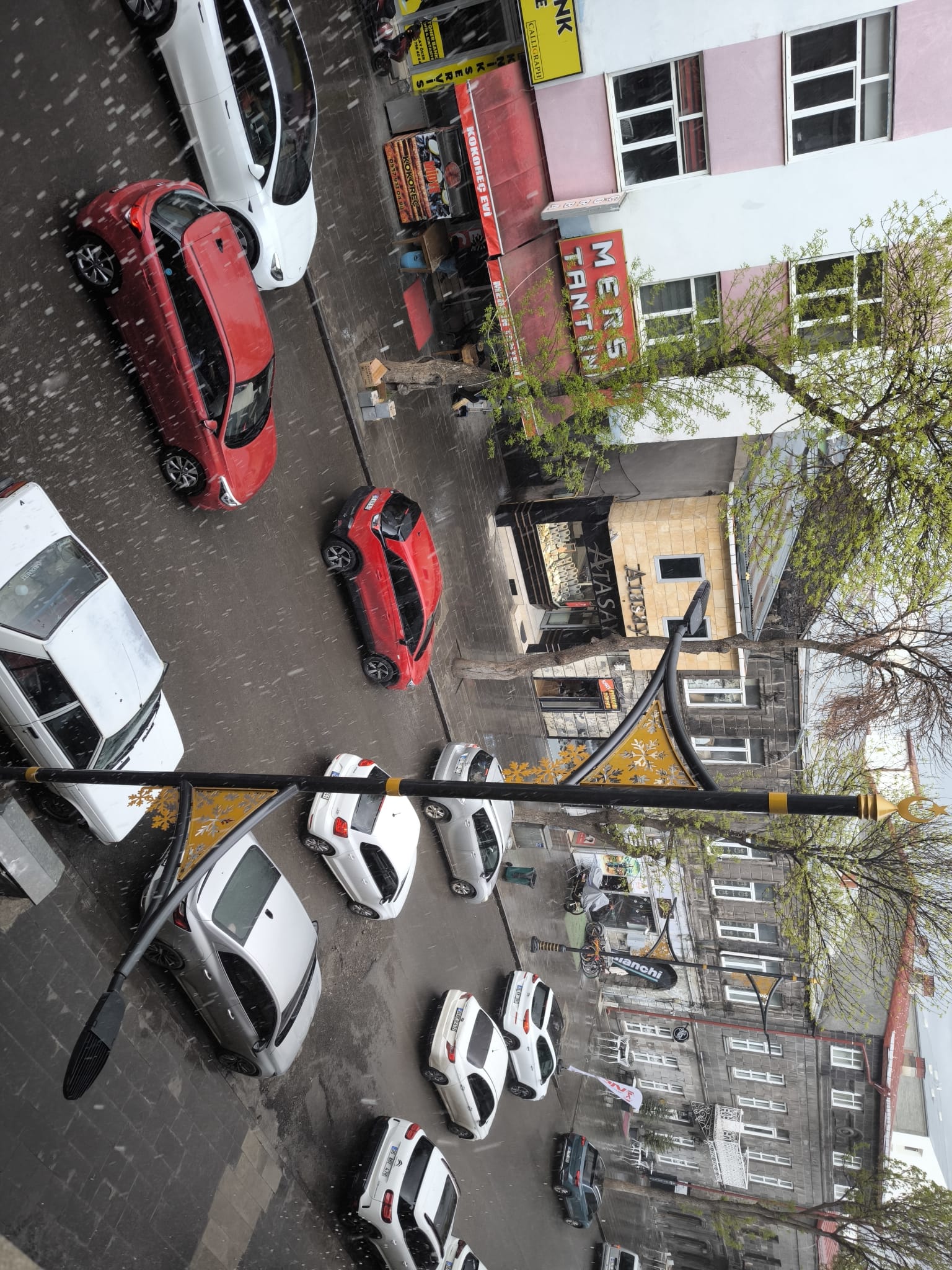 f1fe07de-7b72-446d-90bf-bf2e6adaef13.jpg