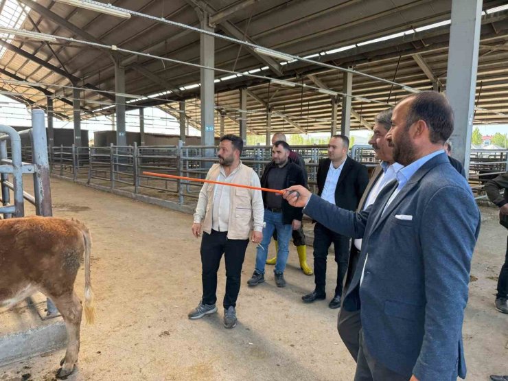 Belediye Başkanı canlı hayvan borsası ve et entegre tesisinde incelemelerde bulundu.
