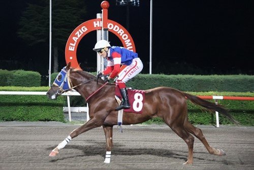 Elazığ’da Jandarma koşusunda zafer ’Ağa’nın