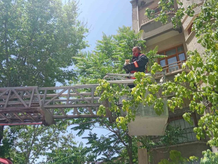 Malatya’da metruk evin penceresine sıkışan kedi itfaiye tarafından kurtarıldı