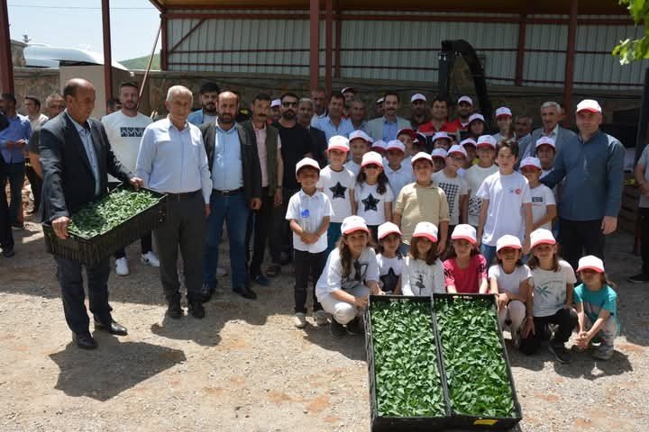 Güroymak’ta fide ve tohum dağıtımı yapıldı