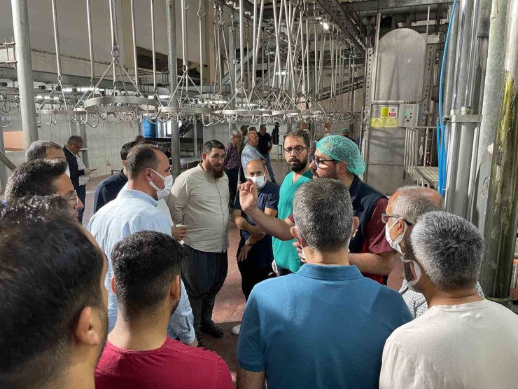 Malatya Büyükşehir Belediyesi’nden vatandaşlara ‘sertifikalı kurban kesim elemanı’ eğitimi