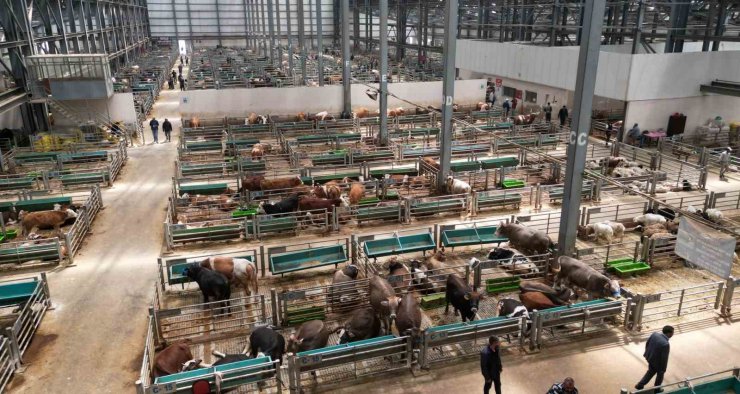 5 yılda 2 milyon kişi ziyaret etti