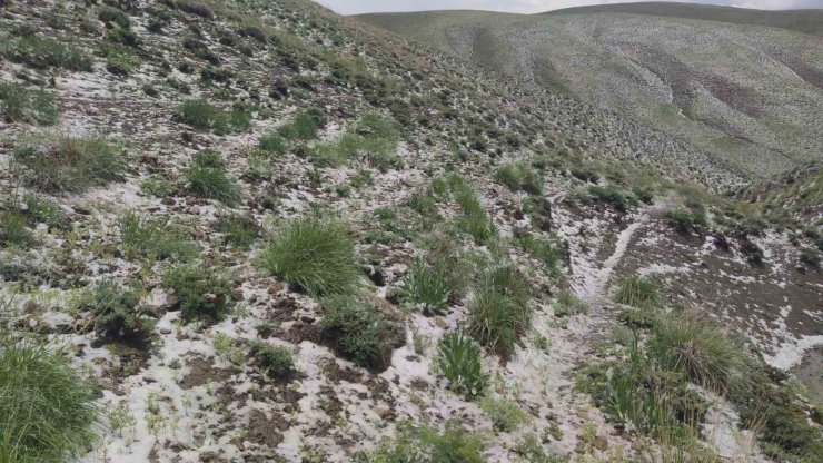 Haziran ayında kar sürprizi: Erek Dağı’nın etekleri beyaza büründü