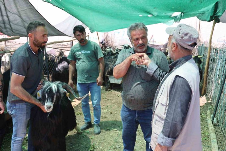 Elazığ’da ’kol kıran’ pazarlıklar sürüyor