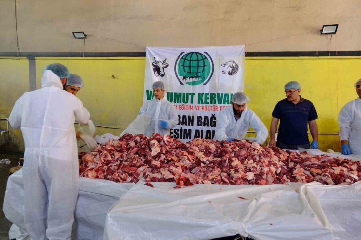Van’da geleneksel toplu kurban kesimi