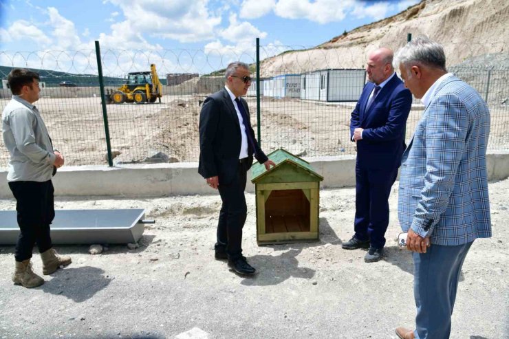 Ardahan’da sahipsiz hayvanlara yeni bir yuva