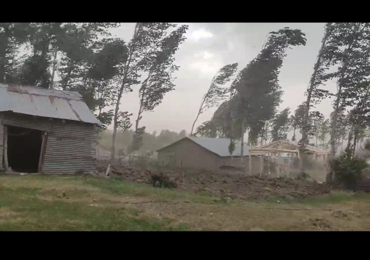 Muş’ta fırtına ağaçları ve elektrik direklerini devirdi