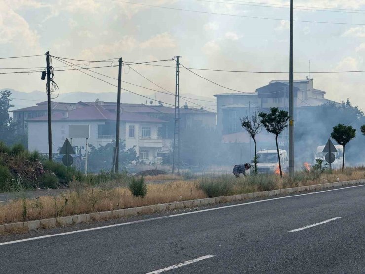 Iğdır’da yaşlı kadın uluslararası yolun ayırıcı kısmındaki otları ateşe verdi