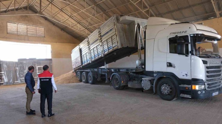 Erzincan’da hububatta ilk hasat başladı