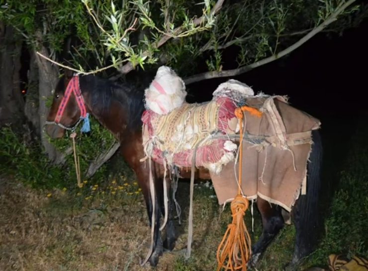 İran’dan katırla yurda sokulan 97 kilogram uyuşturucuya 1 gözaltı