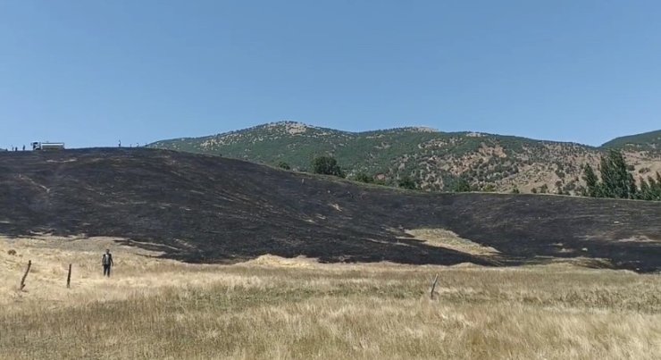 Hizan’da anız yangını, 40 dönüm arazi zarar gördü