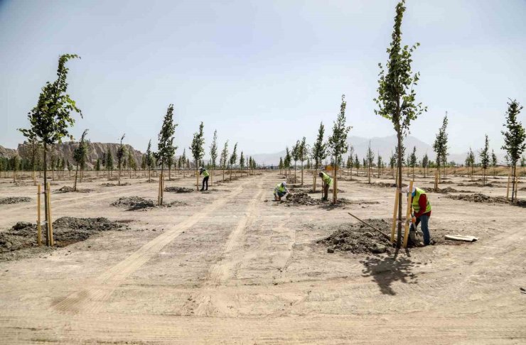 Van Büyükşehir Belediyesi Ihlamur Parkı’yla kente renk katacak