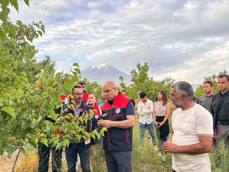Ağrı Valisi Koç, Doğubayazıt’ta bir dizi incelemelerde bulundu