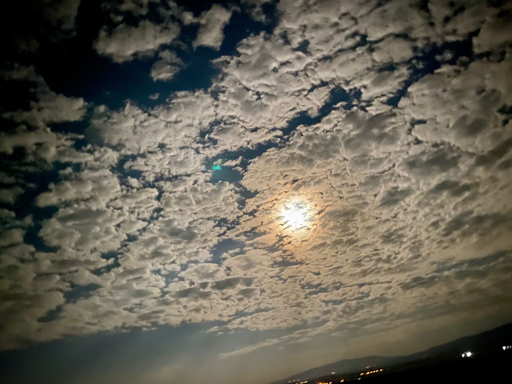 f394b4d3-ef21-49bc-9cc7-469379c7f85c.jpg