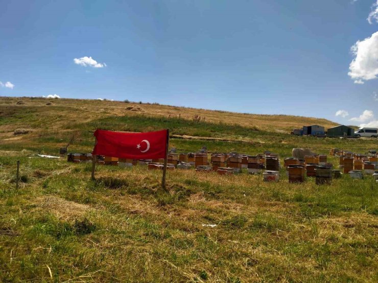 Ağrı ay yıldızlı bayraklarla donatıldı