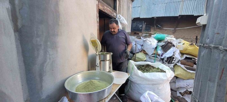 120 çeşit bitkinin karışımıyla elde edilen baharat; Zetrin