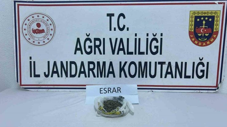 Ağrı’da uyuşturucu operasyonu: 511 kök kenevir ve 50 gram esrar ele geçirildi