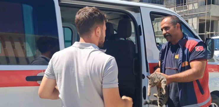 Erzincan’da aracın motor bölmesine sıkışan kediyi itfaiye ekipleri kurtardı
