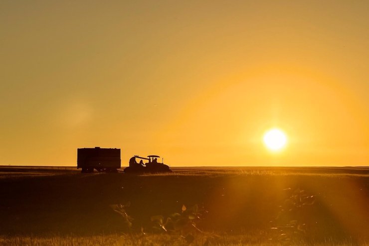 Ağrı’da gün batımıyla harman mesaisi