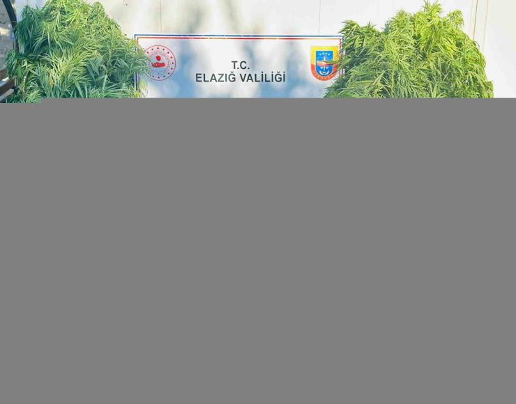 Elazığ’da jandarma, uyuşturucu satıcılarına göz açtırmıyor