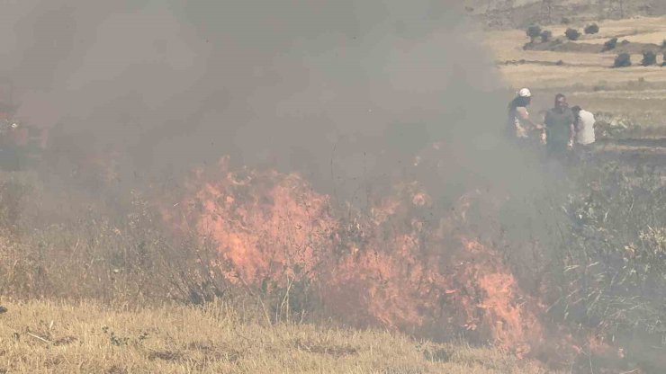 Tatvan’da örtü yangını