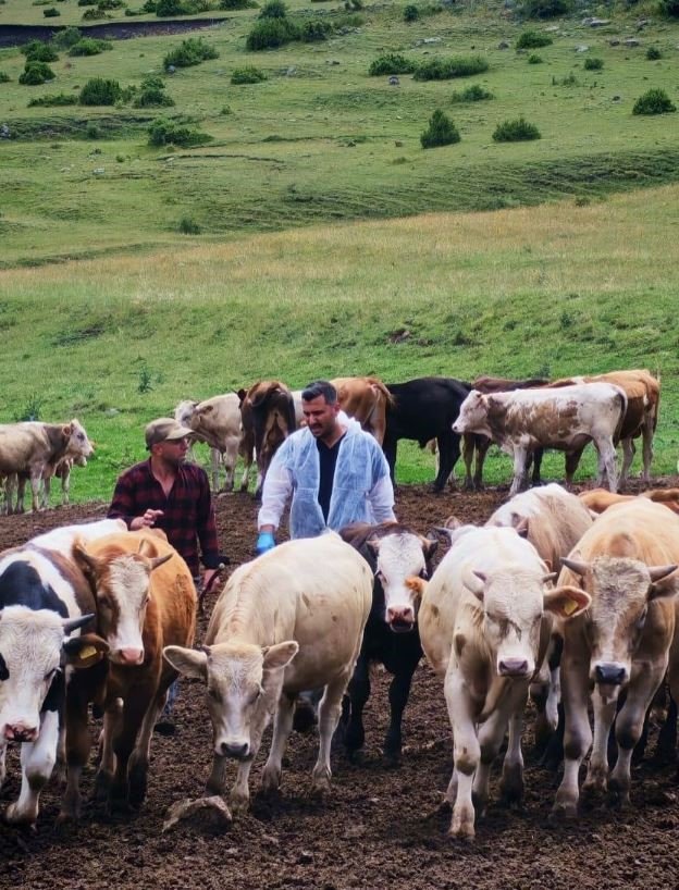 Ardahan Valiliği’nden şap açıklaması