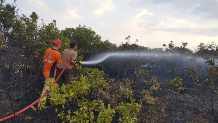 Bingöl’deki orman yangını kontrol altına alındı