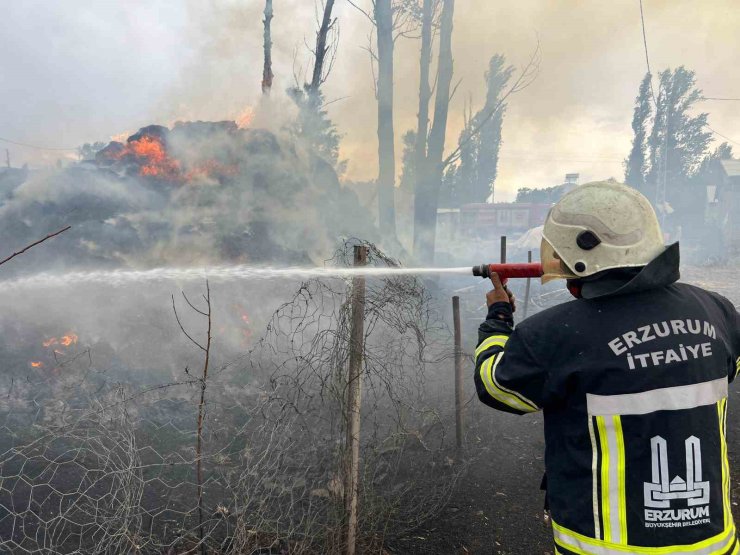 Hınıs’ta ot yangını