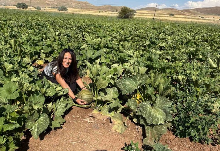 Tercan’da çerezlik kabak üretimi yaygınlaşıyor