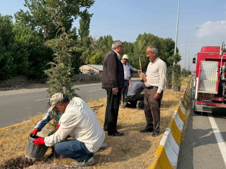 Patnos’ta yeşil alan çalışmaları sürüyor