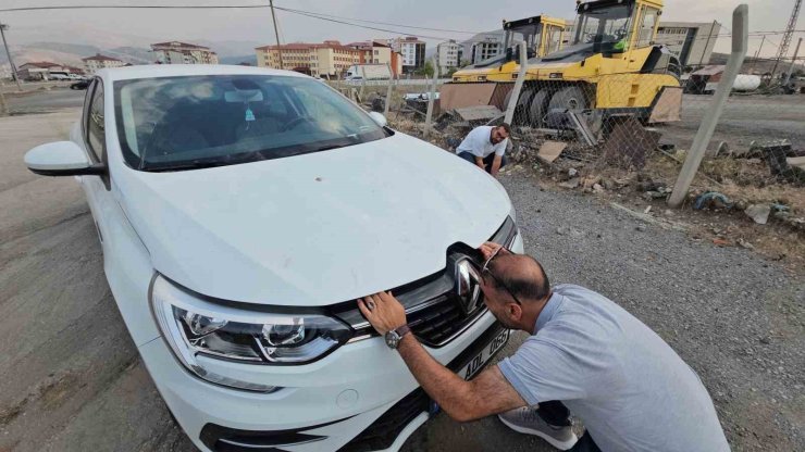 Otomobilin motor bölmesine giren yavru kedi 3 şehir gezdi